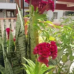 מלון Aloe Apart מרמריס
