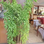 מלון Aloe Apart מרמריס