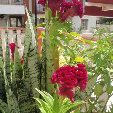 מלון Aloe Apart מרמריס