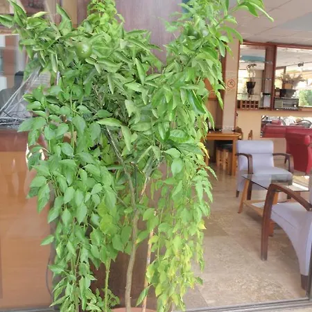 מלון Aloe Apart מרמריס