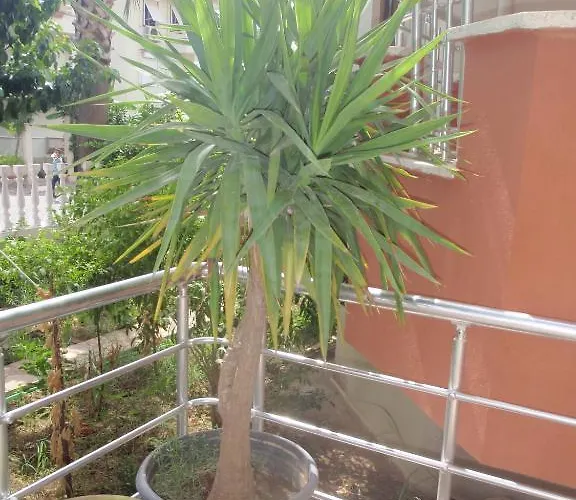 Szálloda Aloe Apart