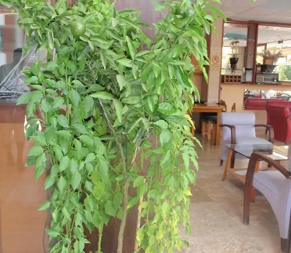 Otel Aloe Apart Marmaris